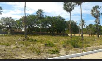 Imagem 7: Lotes do Parque Dom Pedro em Itaitinga