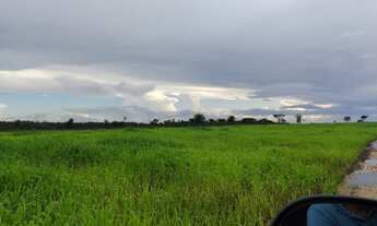 Imagem 7: R$2,6 milhões fazenda 200 hectares porteira fechada 150 hectares de pasto