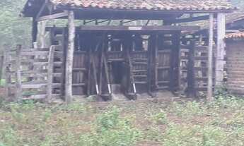 Imagem: FAZENDA PECUÁRIA SUL DA BAHIA