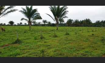 Imagem: Fazenda com 400 hectares no Pará sentido