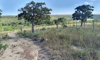 Imagem 6: Vendo ou Troco Lote em Felixlândia (KM374 da rodovia