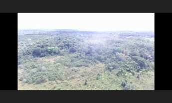 Imagem 7: Fazenda com 112,5 hectares em Colares 80% aberta por R$600 mil