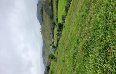 Imagem 5: SITIO EM BOM JARDIM DE MINAS