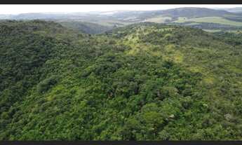 Imagem 5: Terreno de 436 há em Oliveira