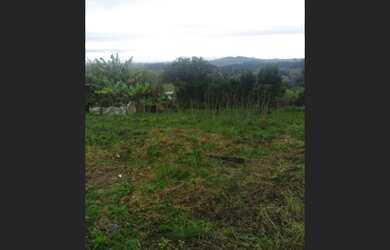 Imagem 4: Vende-se minichacara