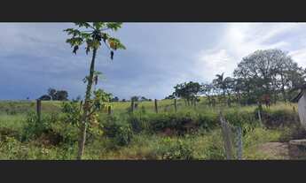 Imagem 4: Sitio no Bairro Cristal