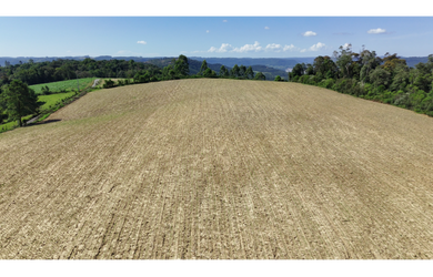 Imagem 3: Terreno rural 30.000 m² com vista para Rio do Sul - SC
