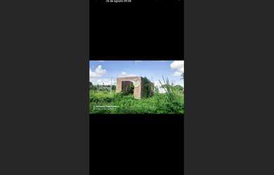 Imagem 6: Terrenos em Igarassu