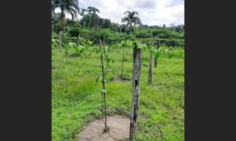 Imagem 4: Excelente fazenda Empório da Terra para venda