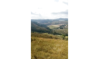 Imagem 5: Fazenda de 40 ha em Oliveira