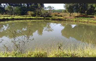 Imagem 7: Fazenda de 2.195 há em Baldim MG