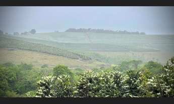 Imagem 2: Fazenda de 3.231 há Sul de Minas MG