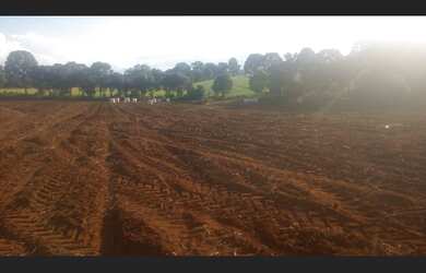 Imagem 4: ???? SÍTIO À VENDA ???? Guarapuava/PR