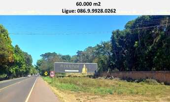 Imagem: Terreno 60. 000 m2 na BR 343 - Altos