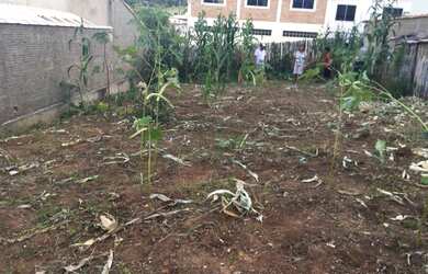 Imagem 7: Terreno em Perdoes, MG