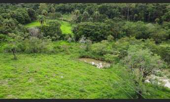 Imagem 7: Fazendinha de 20 ha em Itaguara MG
