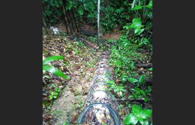 Imagem 3: R$ 200.000 sítio na alça viária a 30 km de Belém tem Pitaya e açaí plantados