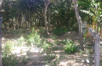 Imagem 3: Áreas na lateral do Condomínio Parque da Serra em Barra do MT