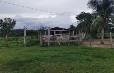 Imagem 12: R$ 5 milhões fazenda de 200 alqueires com 154 alqueires de pasto