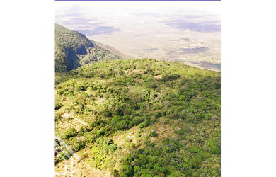 Imagem 6: PROPRIEDADE COM 40 HECTARES DISPONÍVEL PARA VENDA EM SÃO BENEDITO ✨