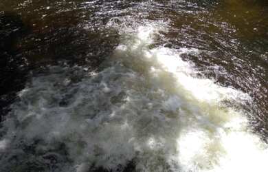 Imagem 4: Sítio com 50 hectares na estrada de igarapé açu por 400 mil reais documentada