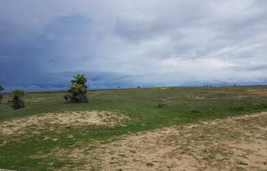 Imagem 6: Terreno ao lado da Arvore Penteada