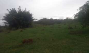 Imagem 6: Terreno de 29 há em Passa Tempo MG