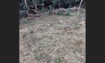 Imagem 7: Propriedade em Alto Caparaó MG