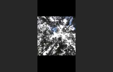 Imagem 5: Fazenda de 100 há em Simonesia MG