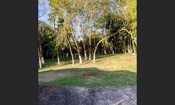 Imagem 2: Vende-se chacara em guaravera