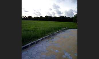 Imagem: Lote em Guriri - Rua Tranquilo e perto da