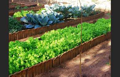 Imagem 4: Passa se ponto Restaurante e Pamonharia