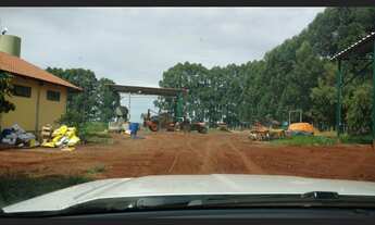 Imagem 7: Fazenda com 303 alq, dupla aptidao