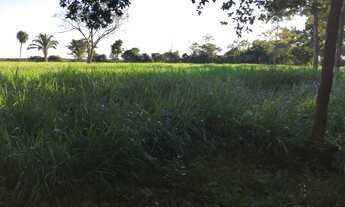 Imagem 3: Fazendas em Mato Grosso Negócios de ocasião, agronegócio