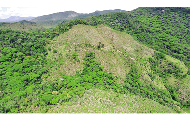 Imagem 3: Fazenda em Santa Barbara do Monte Verde MG