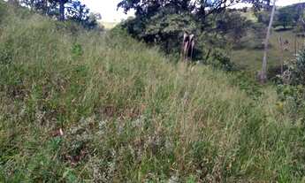 Imagem 3: Fazenda dd 24 ha em Itaguara