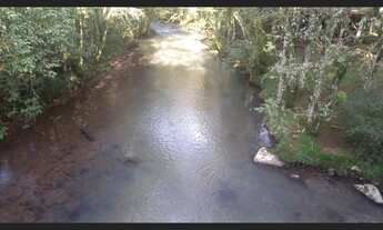 Imagem 2: Excelente Área De Terras em Santa Maria Do Herval (40 Hectares