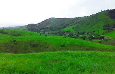 Imagem 5: Fazenda 1.456 Hectares Sul da Bahia, Itamarajú, Zap 73999559555