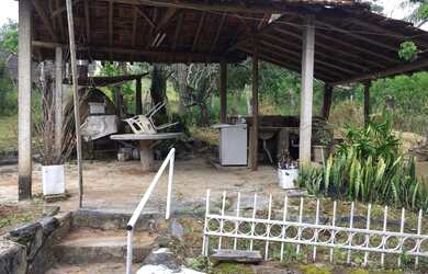 Imagem 7: Fazenda de 116 há em Barbacena MG