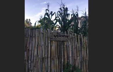 Imagem 4: Terreno em Perdoes, MG