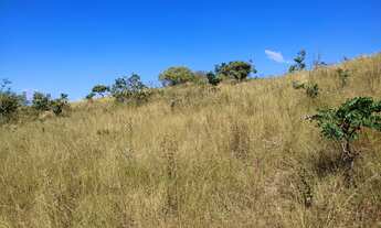 Imagem 6: Terreno de 10 há em Oliveira
