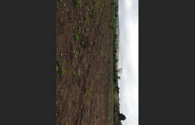 Imagem 4: Vendo Terreno de 5640m² em Barra do Choça