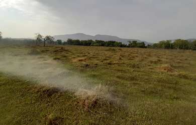 Imagem 3: TERRENO 15 HECTARES