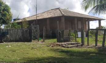 Imagem 6: Fazenda Itapé/BA