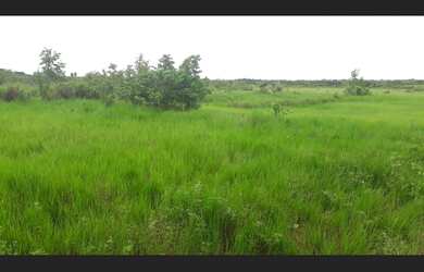 Imagem 4: 3.805 Alqueires por 100 milhões de reais no Maranhão 100% documentada