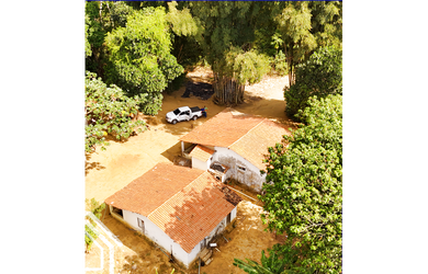 Imagem 5: PROPRIEDADE COM 40 HECTARES DISPONÍVEL PARA VENDA EM SÃO BENEDITO ✨