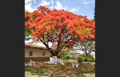 Imagem 7: Jazigo Cemiterio Parque das Primaveras Sumare SP