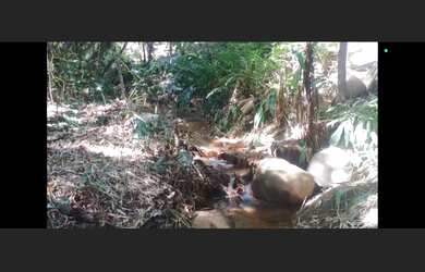 Imagem 3: Terreno de 15 mil mt em oliveira