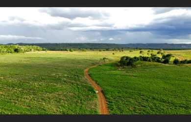 Imagem 5: 650 Alqs Plantando Pastos Ótima Logística e Água Babaçulandia TO
