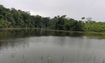 Imagem 5: 600 Hectares por 3.000.000,00 reais a 80 km de Castanhal Pará